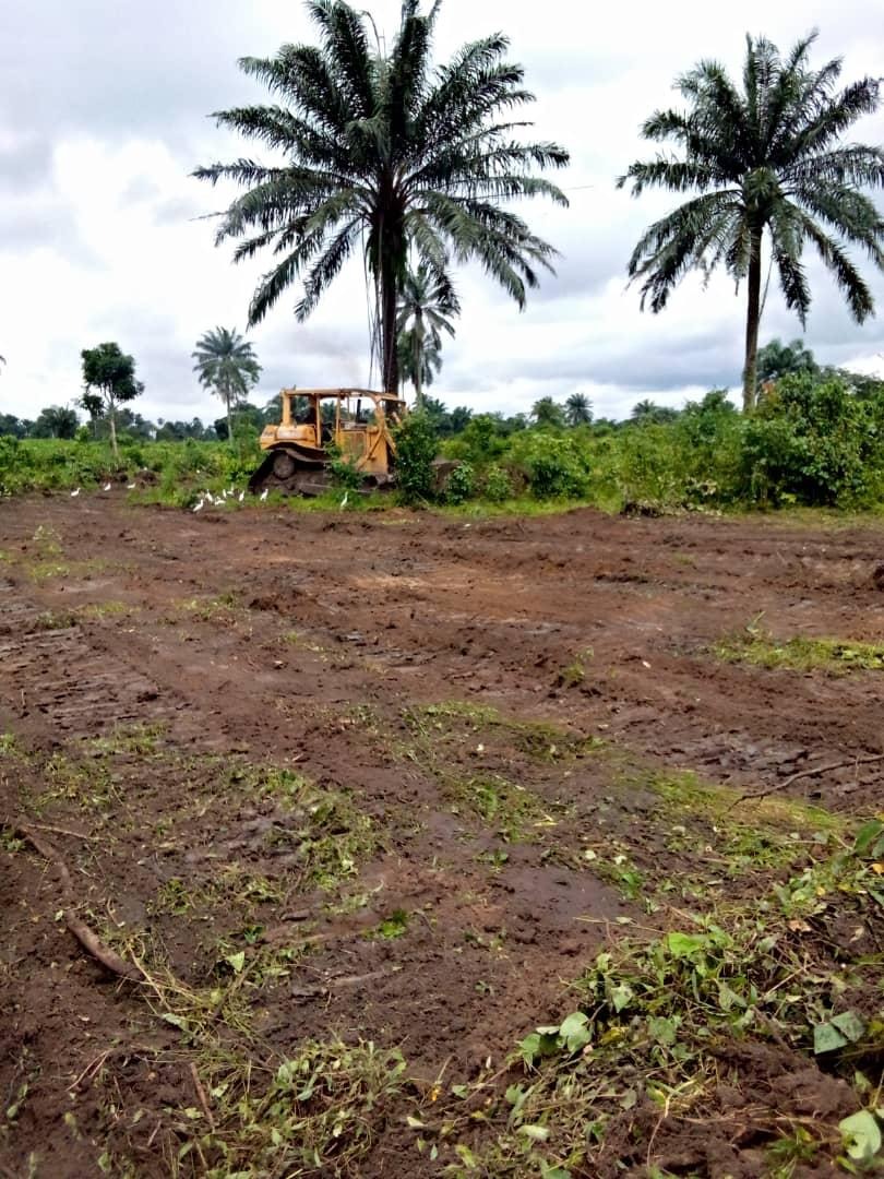 Hydrocarbon Site Remediation - Image 3